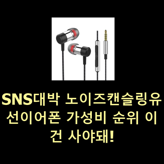  SNS대박 노이즈캔슬링유선이어폰 가성비 순위 이건 사야돼!