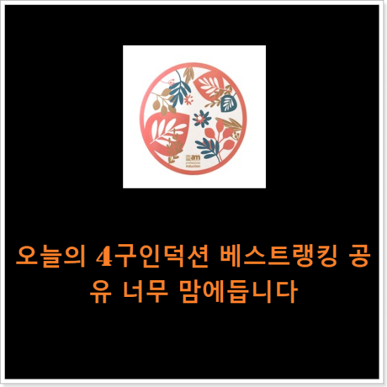 오늘의 4구인덕션 베스트랭킹 공유 너무 맘에듭니다