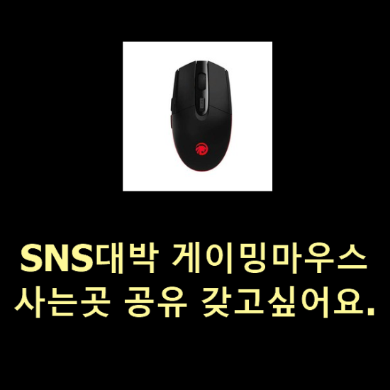 SNS대박 게이밍마우스 사는곳 공유 갖고싶어요.