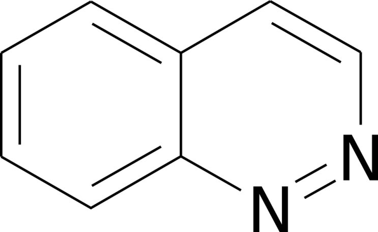  질산화(nitrification) - 탈질화(denitrification) 반응 간단히 알아보기