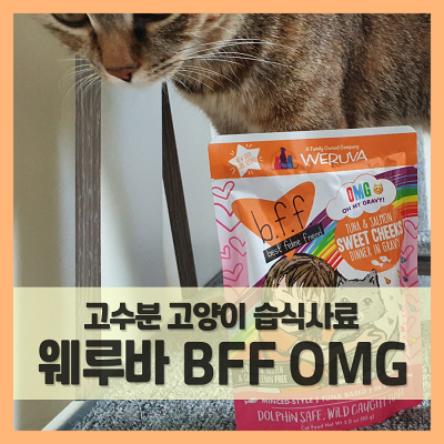  고양이 습식사료 웨루바 B.F.F OMG 파우치 참치&오리  (f. 미수입)