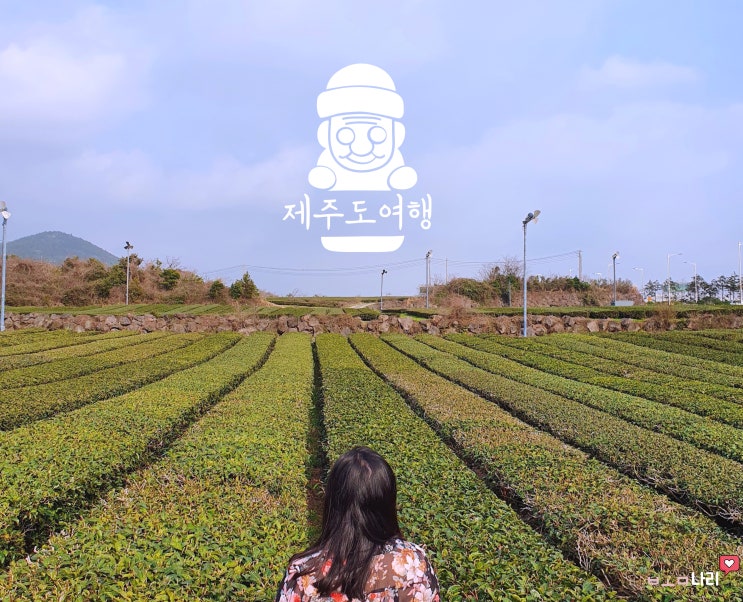  20210306 ~ 09 제주 