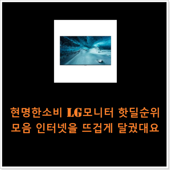 현명한소비 lg모니터 핫딜순위모음 인터넷을 뜨겁게 달궜대요