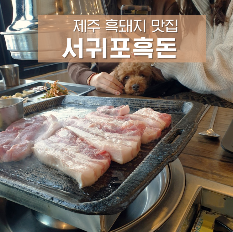 서귀포흑돈 : 애견동반 가능한 소정방폭포 근처 제주 흑돼지 맛집