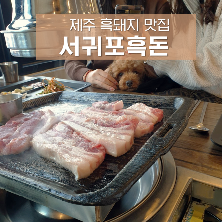  서귀포흑돈 : 애견동반 가능한 소정방폭포 근처 제주 흑돼지 맛집