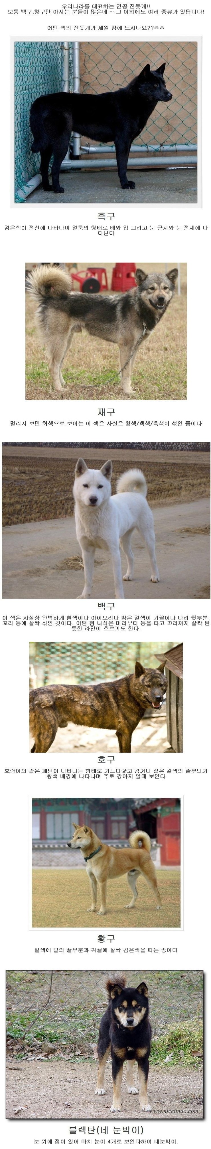  어유 이런 귀여운 호구 같으니라구