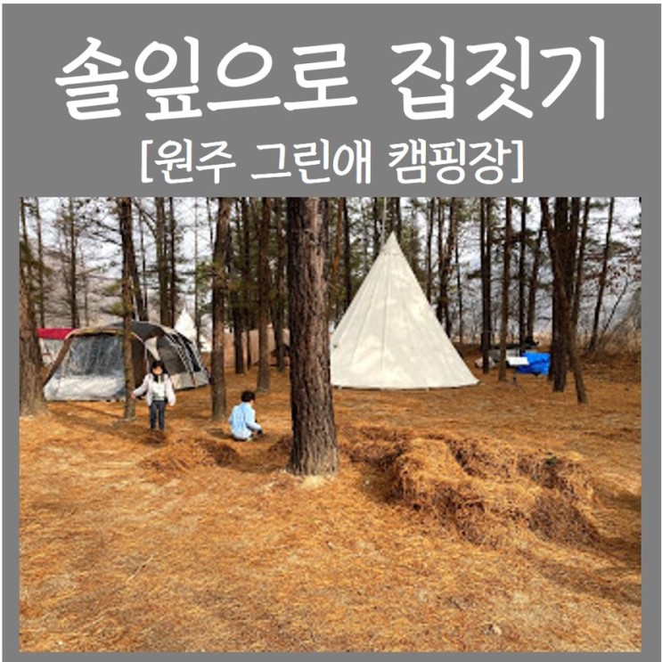 [원주 그린애 캠핑장] 소나무밭 노지캠핑 스타일 (아이와 캠핑 추천)