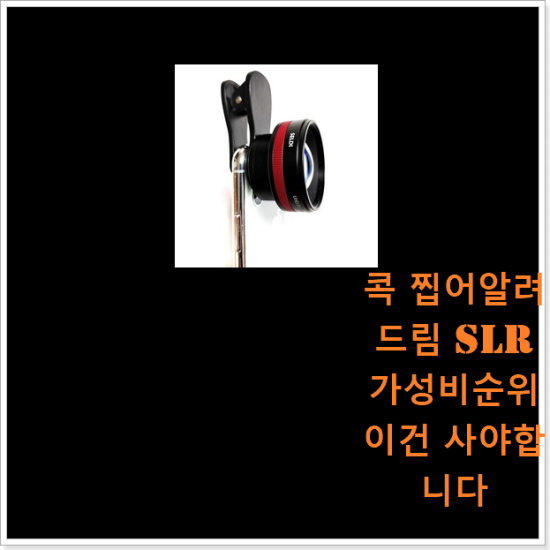 콕 찝어알려드림 SLR 가성비순위 이건 사야합니다