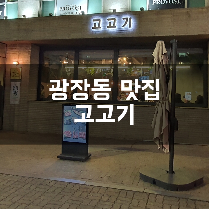 [광장동 고기집] 직접 구워주는 고기가 먹고픈날 "고고기"로 고고씽