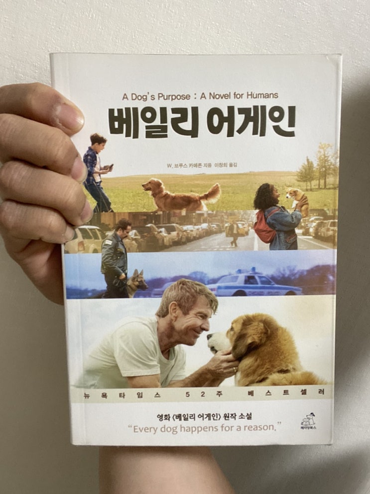  [베일리 어게인_W.브루스 카메론]-언제나 곁에 있어 준다면..