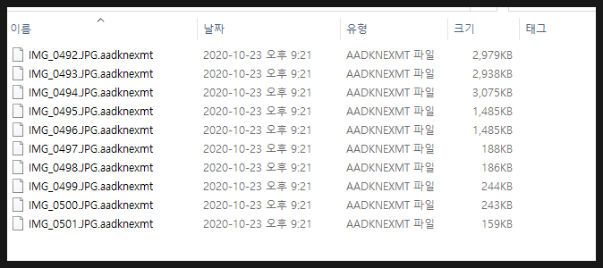  매그니베르 랜섬웨어 aadknexmt 복호화 후기
