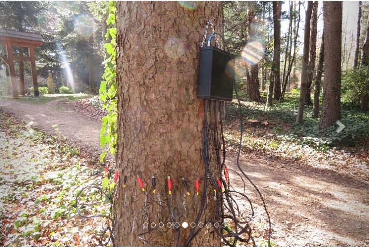  ArborElectro Impedance Tomograph