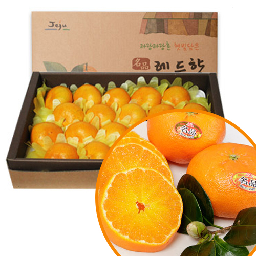 인기 많은 제철 제주 고급 프리미엄 레드향 선물 세트 3kg 5kg 제주도 산지직송 황금향 천혜향, 프리미엄과 3kg ··· 인기 많은 제철 제주 고급 프리미엄 레드향 선물 세트 3kg 5kg 제주도 산지직송 황금향 천혜향, 프리미엄과 3kg ···