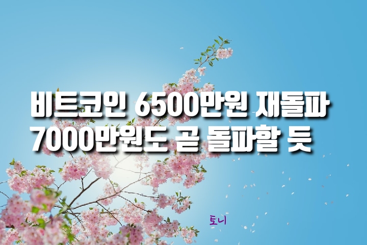 비트코인 다시 6500만원대…가상화폐 관련주 강세 비트코인 다시 6500만원대…가상화폐 관련주 강세