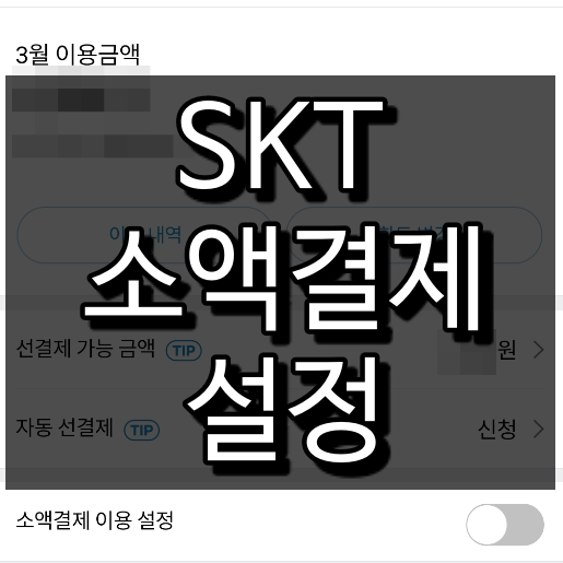 SKT 소액결제 차단, 차단해제, 한도 변경까지 한번에 정리