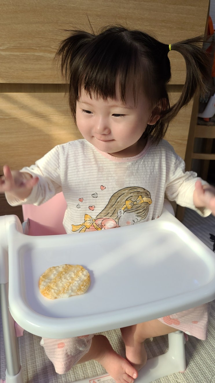  간편하게 들고 다니는 아기 식탁 의자 엘츠 폴딩 휴대용 부스터