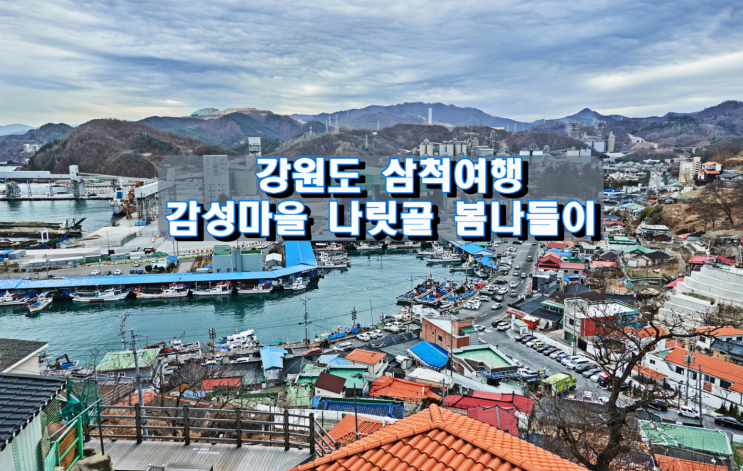 강원도 삼척여행, 감성마을 나릿골 봄나들이 강원도 삼척여행, 감성마을 나릿골 봄나들이