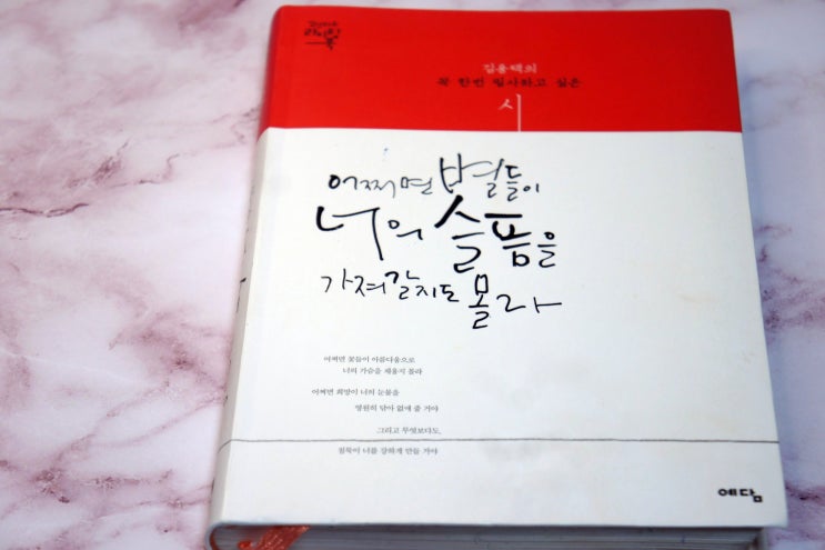  필사로 상처를 치유하다 보면 [시: 어쩌면 별들이 너의 슬픔을 가져갈지도 몰라]