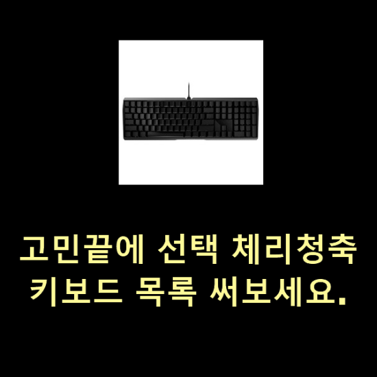  고민끝에 선택 체리청축키보드 목록 써보세요.