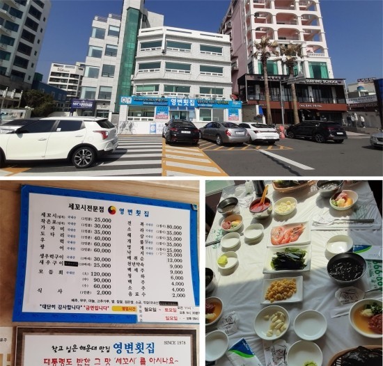  송정 해수욕장에서 폰카(Galaxy A50)로 찍은 갈매기들...