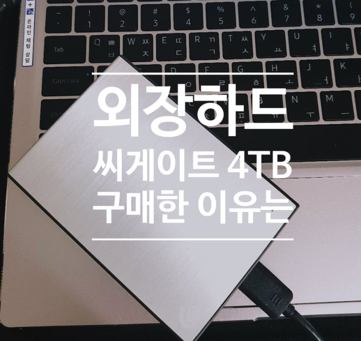 외장하드 씨게이트 4TB 구매한 첫번째 이유, 데이터 복구 서비스 제공