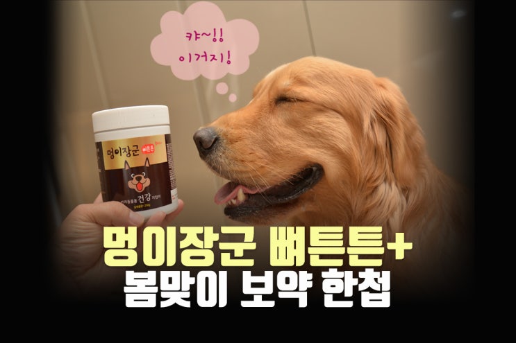  멍이장군뼈튼튼플러스 봄맞이 보약 준비 끝! 견공본가 강아지훈련용간식