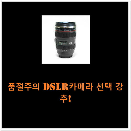품절주의 dslr카메라 선택 강추! 품절주의 dslr카메라 선택 강추!