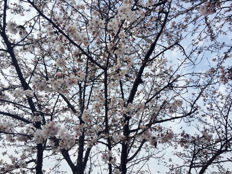  고민하지 마세요 서초구소형이사!