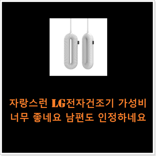 자랑스런 lg전자건조기 가성비 너무 좋네요 남편도 인정하네요