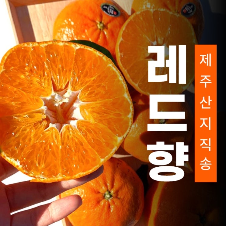 후기가 좋은 24시내고향 제주 산지직송 햇 노지감귤 극조생 황금향 천혜향 레드향 한라봉 3kg 5kg 10kg 설 명절 과일 선물 세트, 최상급 레드향 좋아요 후기가 좋은 24시내고향 제주 산지직송 햇 노지감귤 극조생 황금향 천혜향 레드향 한라봉 3kg 5kg 10kg 설 명절 과일 선물 세트, 최상급 레드향 좋아요