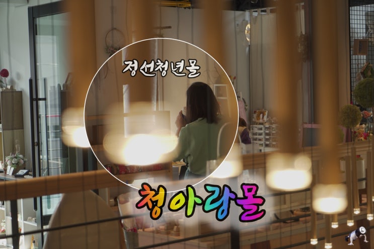  청년몰 청아랑몰 청춘시장 in 정선아리랑시장