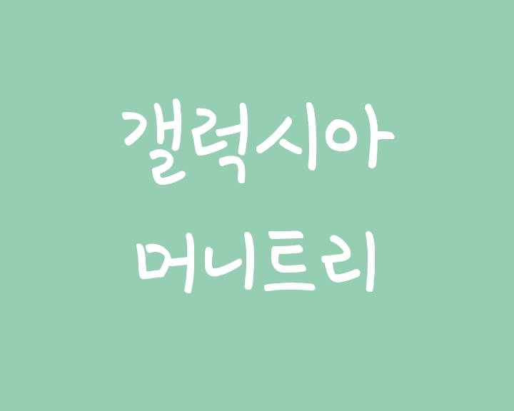 갤럭시아머니트리 - 이재명, 쿠팡 관련주 갤럭시아머니트리 - 이재명, 쿠팡 관련주