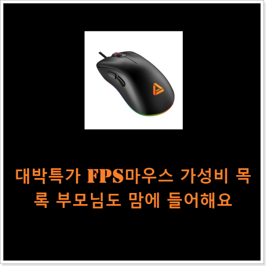 대박특가 fps마우스 가성비 목록 부모님도 맘에 들어해요