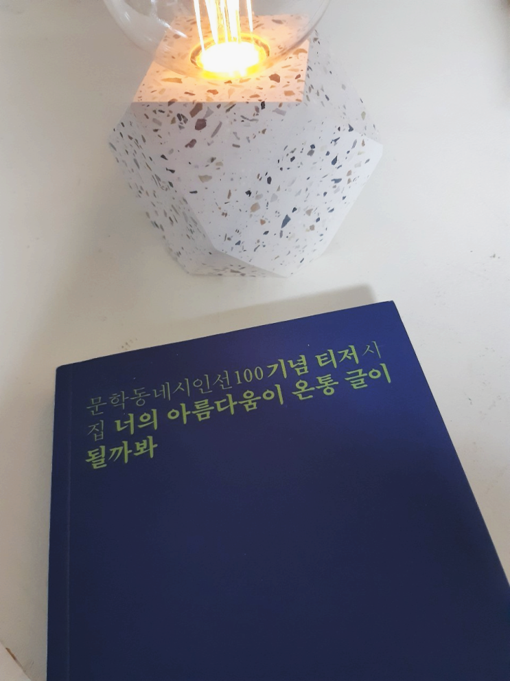  [산문] 너의 아름다움이 온통 글이 될까봐 #03 "뒤늦게 열어본 서랍", 최예슬 쓰다