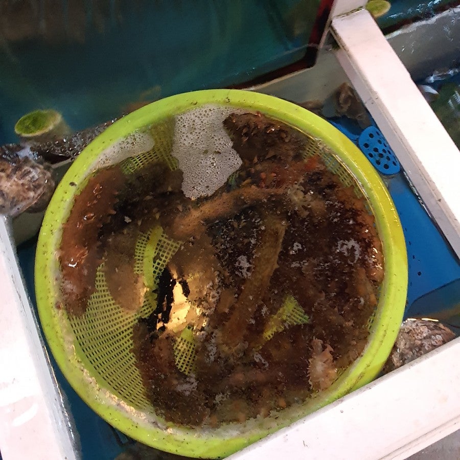 Gyejeolmatpocha photo 4