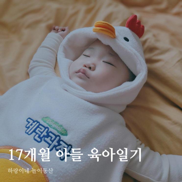  17개월아기 성장기록 육아일기 D+517~520