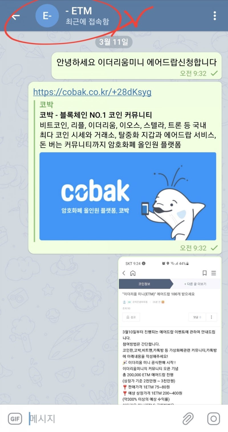 이더리움 미니(ETM)