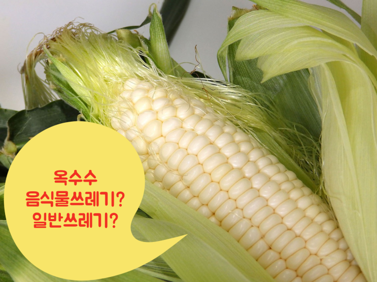  옥수수 버리기 - 수염 껍질 대 어떻게 해야할지 알아봐요