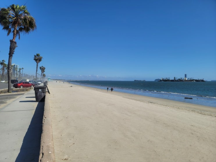  캘리포니아 해변 Long Beach, 롱비치 카페 Rose Park, LA 킹타코, 한인타운 마녀치킨