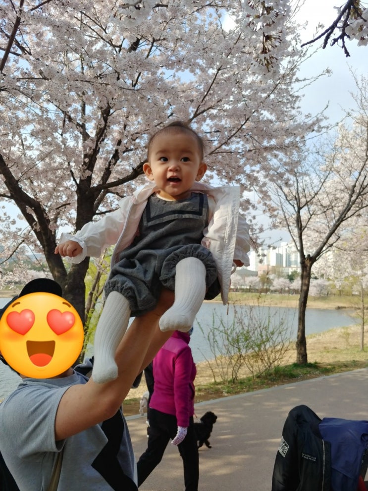  봄이 오면 (From. 블로그씨)