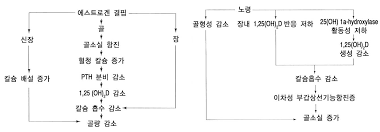 성인간호학 칼슘불균형 마그네슘혈증 원인증상 치료약물중재 정상범위 심전도