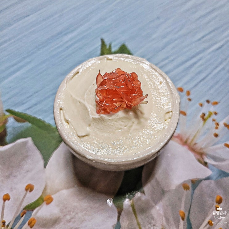  전자레인지 그릭요거트 만들기 요거트 상콤하게