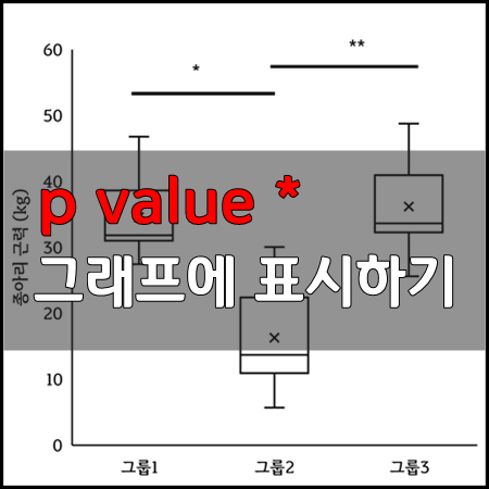 워드 엑셀로 그래프 유의성 표시 하는 법 :: 별표 * p value