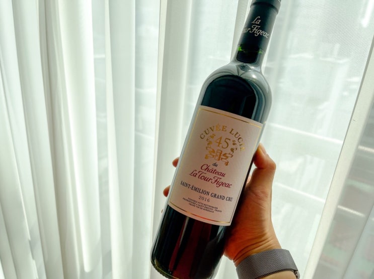  샤또 라뚜르 피작2016 와인과 와인안주