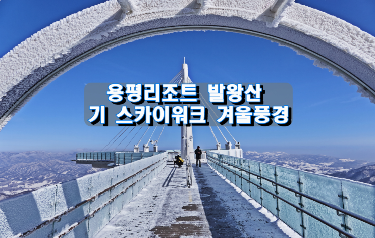 용평리조트 발왕산 氣 스카이워크 겨울풍경