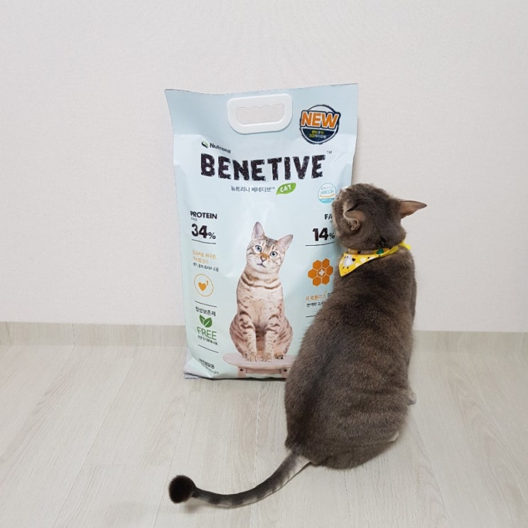 [고양이사료] - 뉴트리나 베네티브 캣 단백질 34%로 활기찬 에너지