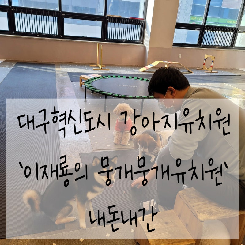 사진 4
