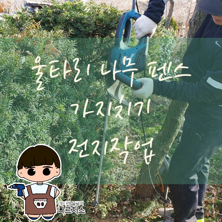  울타리 측백나무 펜스 가지치기, 전정/전지작업