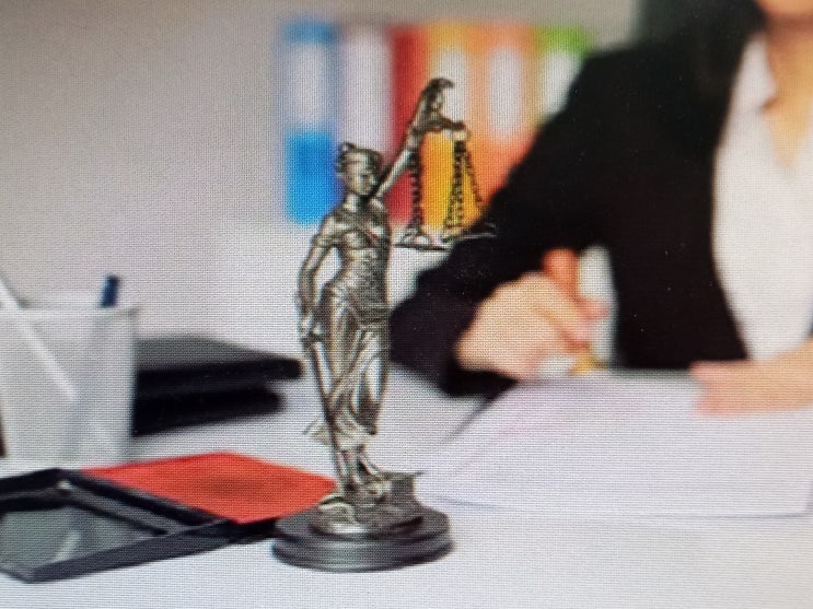  경범죄 형사처벌 외국인 국적자 추방, 1천만원 부담금 내면 강제퇴거 면제 체류기간연장 변호사