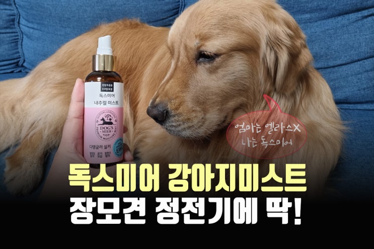  강아지미스트 - 독스미어 디탱글러실키, 장모견 정전기방지는 이걸로